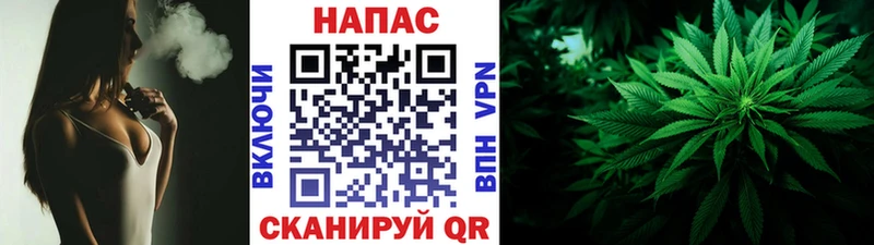 Марихуана White Widow  KRAKEN зеркало  Ардон  купить наркотики цена 